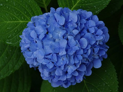 头脑灵光，日子顺利，4到5月越来越有钱，不缺福气的4个星座