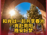 和@肖战 一起，奔赴南阳，共享春光，晚安好梦！