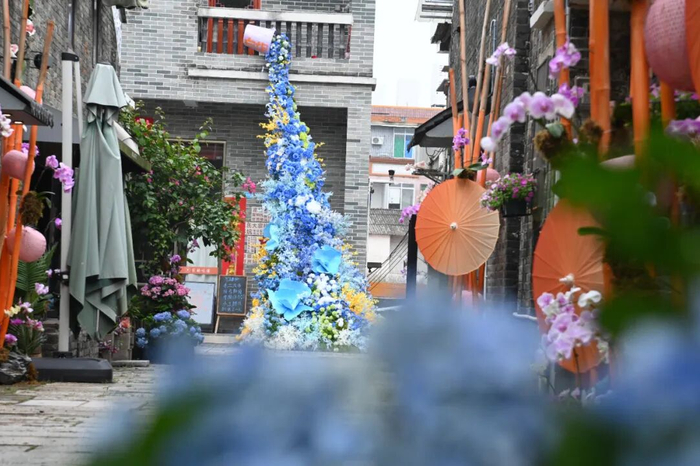 西江院子1511。图/白坭发布