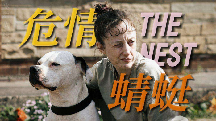  也许刘诗诗这些年未曾频繁出演影视剧，但她在这场北影节的亮相无疑证明了她依然是华语影坛最具代表性的艺人之一。总的来说，这一届的北影节，华语电影无疑取得了显著的进步，尤其是《森中有林》这部影片，让国外的评委对华语电影刮目相看。而最终的奖项设置也没有出现什么争议，所有奖项几乎都得到了实力演员的认可，这才是电影节真正的样子。希望国内主流奖项也能多借鉴这种公正性，真正做到凭实力说话。