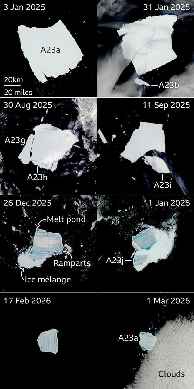A23a消融末期示意图（2025年1月到2026年3月）上观新闻 图