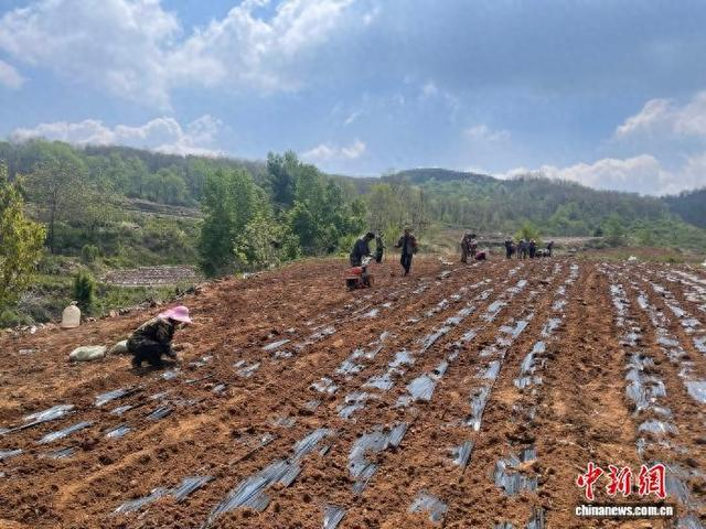 走在山间田垄上，随处可见繁忙的劳作场景。宋建敏摄