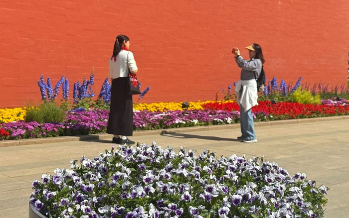 皇城根遗址公园，市民在花卉景观前合影。新京报记者 王贵彬 摄