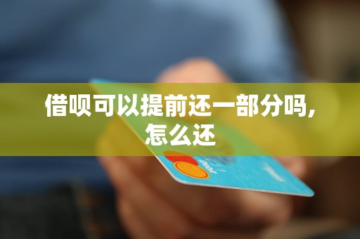 借呗可以提前还一部分吗,怎么还|支付宝|贷款|还款金额|小额信贷|提前还款_新浪新闻