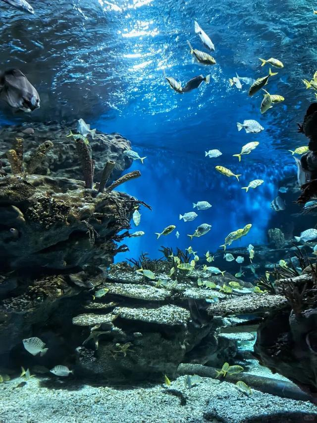来源：湖北省旅游协会