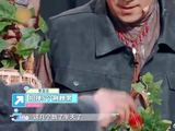 王耀庆太狡猾，竟要扣走一半果子，蔡国庆立马崩溃