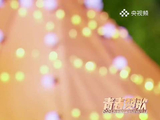 川川的宝藏歌单