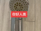 黄朔的“你好花洒”具体是什么内容？视频或照片在哪里看？