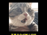 媒体街头采访被李斯丹妮硬控30s