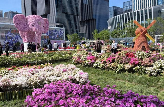 4月28日，2026北京国际花展在丰台区丽泽金融商务区开幕，本届花展以“花开无界”为主题，将持续至5月30日。 刘平摄