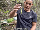 暴瘦37斤！盘点《荒野求生》九大要命关，看看你能撑几天？_澎湃号·湃客_澎湃新闻-The Paper