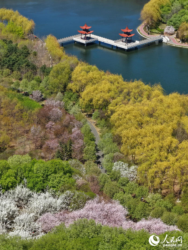 春日里的长春友谊公园。人民网记者 李洋摄