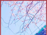 悠享吉林，和@汪苏泷 一起数小星星吧~晚安好梦！