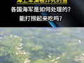 海上军演被炸死的鱼，各国海军是如何处理的？能打捞起来吃吗？