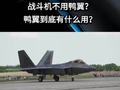 为什么美军战斗机不用鸭翼？鸭翼到底有什么用？