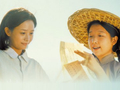 五一档首日票房超1.6亿元