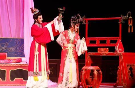 封建樊笼中的抗争者:《孔雀东南飞》刘兰芝形象与现代女性意识|东汉|婚姻|爱情|社会|悲剧_新浪新闻