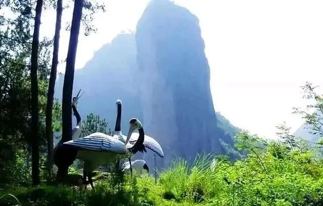 图片来源：天津市文化和旅游局
