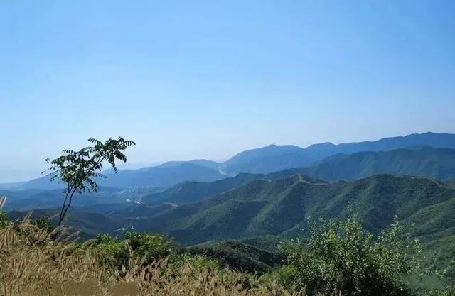 图片来源：天津市文化和旅游局