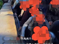 紫牛热点︱公共场所成“免费直播间”？网友吐槽：就连路边小摊都不放过我