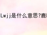 Lwjj是什么意思?鹿晗粉丝为啥叫芦苇