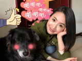 林依晨工作室注销，疑似退圈，有媒体向林依晨经纪人求证。