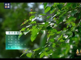 周深五四再唱和光同春