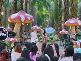 刘雨昕姚晓棠联手演绎《绿色》，温柔易碎诠释宿命感