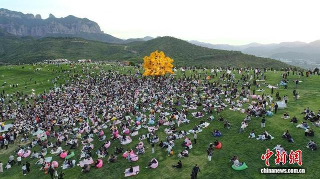 图为5月3日，游客在涉县太行五指山空中草原游玩打卡，体验“云端露营”。 杨彦忠 摄