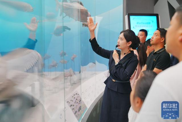 ↑ 5月3日，在重庆自然博物馆，“00后”科普辅导员曹蕊涵在给游客作免费讲解。新华社发（秦廷富摄）