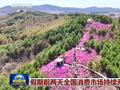 假期前两天全国消费市场持续升温