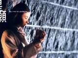 星愿(1999年任贤齐、张柏芝主演电影)_搜狗百科