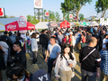 开放仅6天，东六环“空中花园”迎客超33万人次