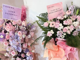 肖战为谢娜演唱会送祝福！“川渝姐弟”多年友情再获赞