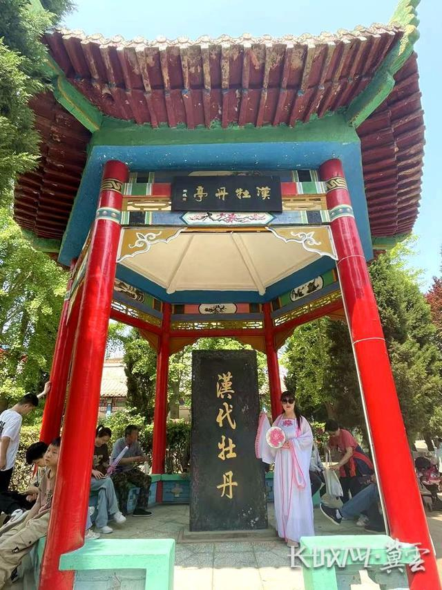 游客们在邢台汉牡丹园观景。长城网·冀云客户端记者 贾宏博 摄