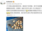 有爱!孙俪家添“新丁”,鸡蛋孵化出三只小鸡,并纳入家庭成员