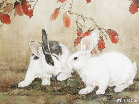 人品非常出色，到哪都格外受欢迎的四个生肖，幸运相伴左右