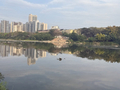 绵阳一旅游公司被指盗采河水售卖：咋卖的？当地正在查