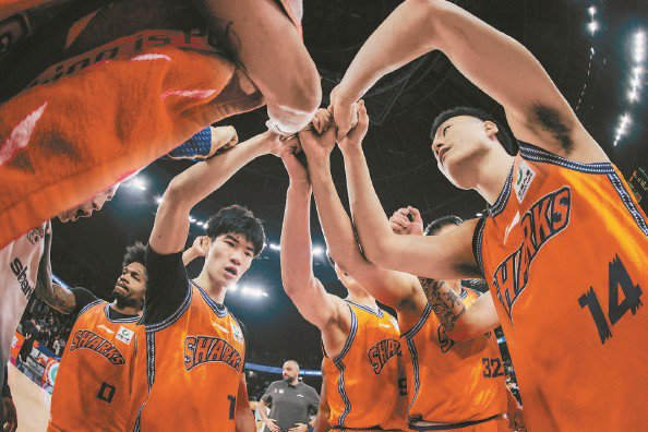             季后赛，上海男篮来了 本报记者  李铭珅  摄          