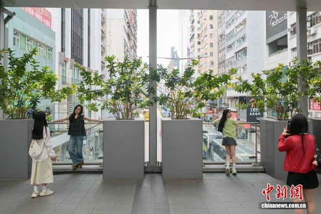 图为旅客在旺角一座天桥上留影。中新网记者 陈永诺 摄
