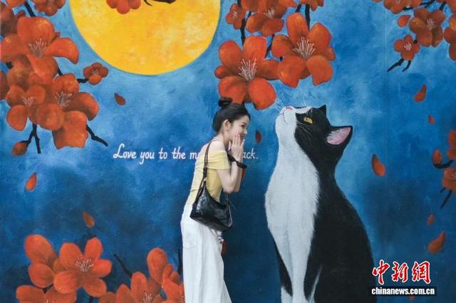 图为一名女士在赤柱与猫咪壁画合影。中新网记者 陈永诺 摄