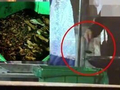 重庆万州区发布情况通报