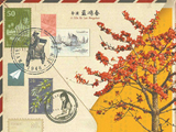 上海蝉联档期城市票房冠军