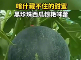 李兰迪郭俊辰邱天赴喀什拍摄迷你剧,黑珍珠西瓜引关注