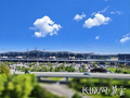 “五一”假期 石家庄正定国际机场运送旅客19.2万人次