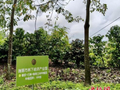 云南瑞丽林下经济产业园正式开工建设