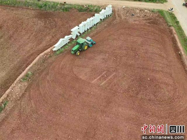 成都东部新区东山农场示范园。成都东部新区 供图