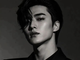 EXO-KING:光芒背后的坚持与隐忍丨火锅梗百科