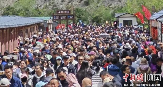 浑源县新闻中心供图