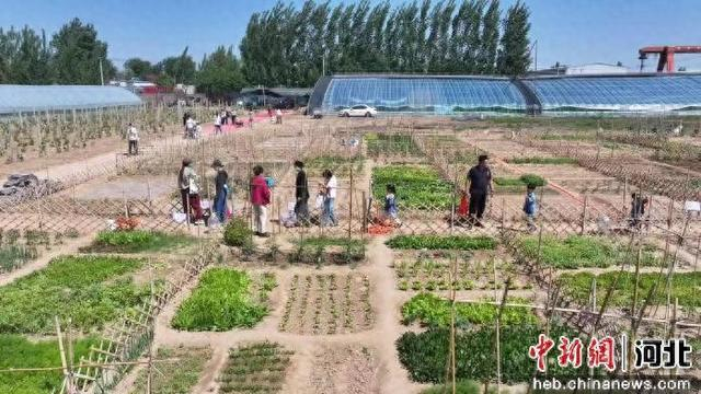亲子农耕研学游活动现场。 范佳浩 摄